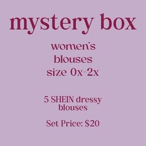 Mystery Box 5 Pieces Womens Shein Blouses size 0X-2X